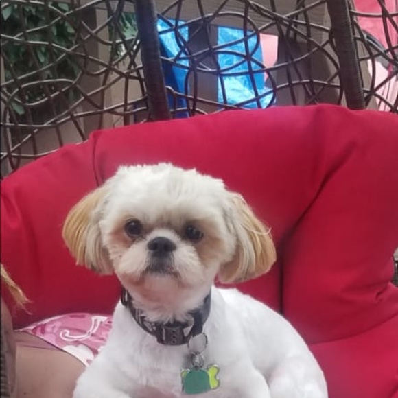 Meet your Posher, Sharon - Picture 2 of 2